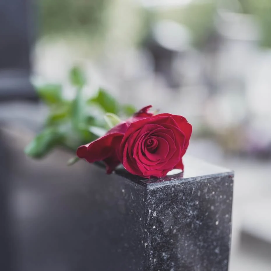 Rose on a grave Image